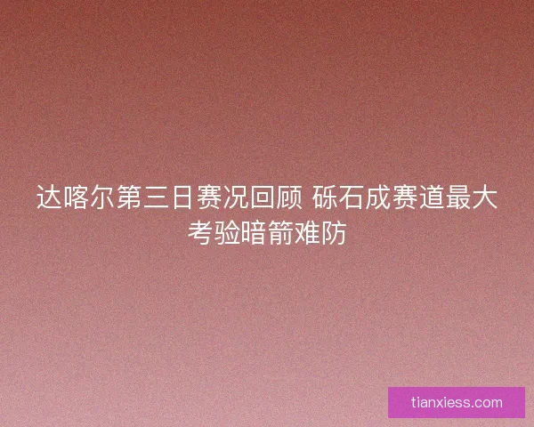 达喀尔第三日赛况回顾 砾石成赛道最大考验暗箭难防